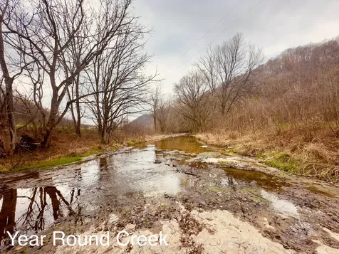 1611 Knob Creek Road Celina TN 38551