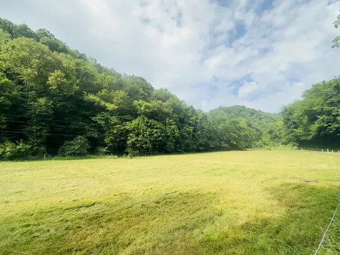 1611 Knob Creek Road Celina TN 38551