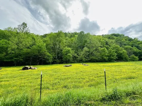1611 Knob Creek Road Celina TN 38551