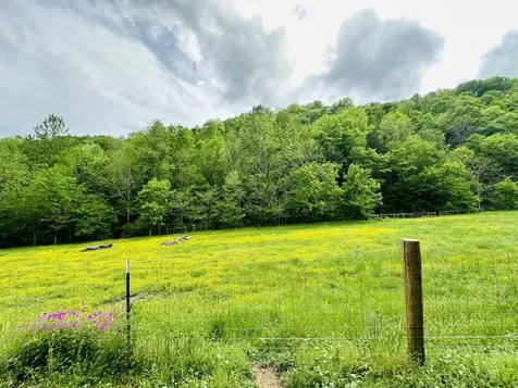 1611 Knob Creek Road Celina TN 38551