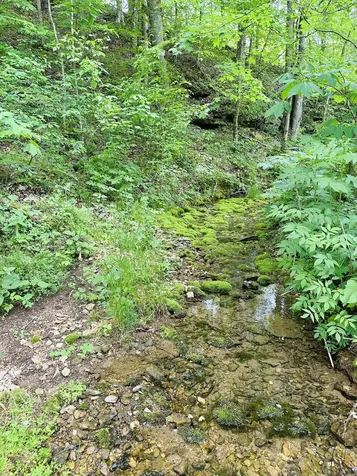 1611 Knob Creek Road Celina TN 38551