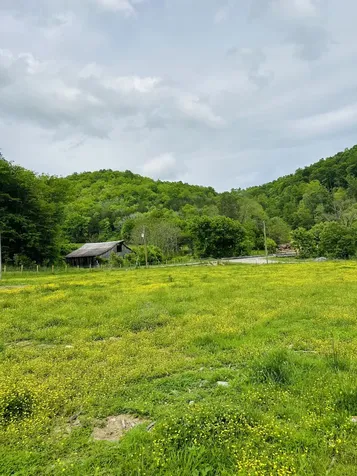 1611 Knob Creek Road Celina TN 38551