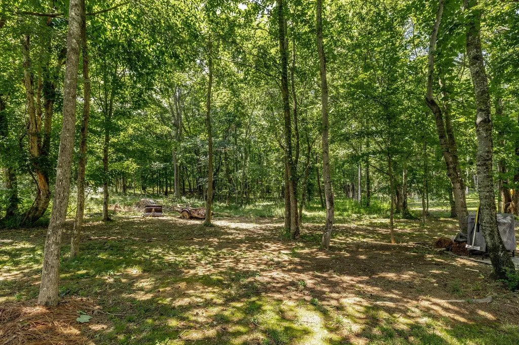 1954 Lake Road Greenbrier TN 37073