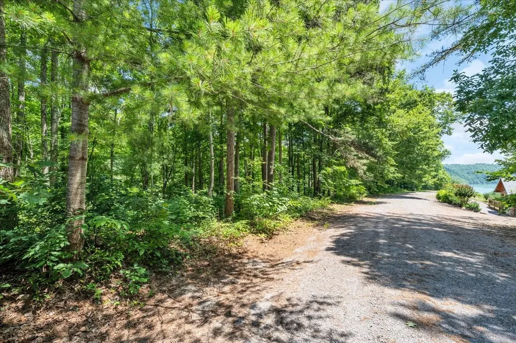 160 Fawn Place Smithville TN 37166