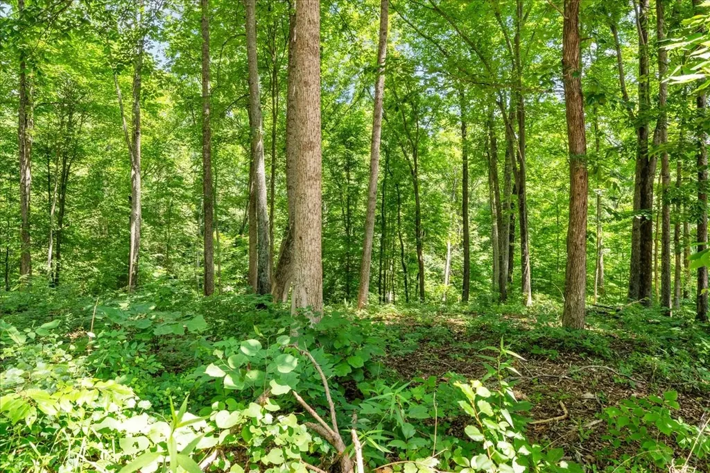 160 Fawn Place Smithville TN 37166