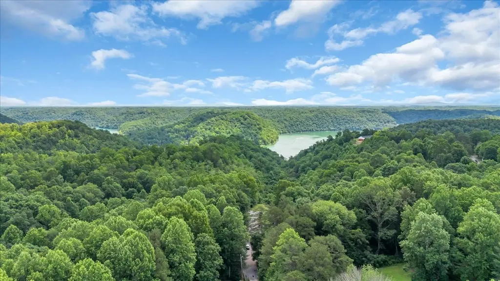 160 Fawn Place Smithville TN 37166