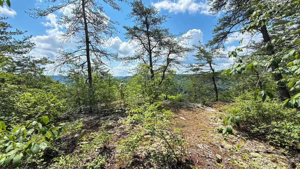 0 Flat Rock Road Jamestown TN 38556