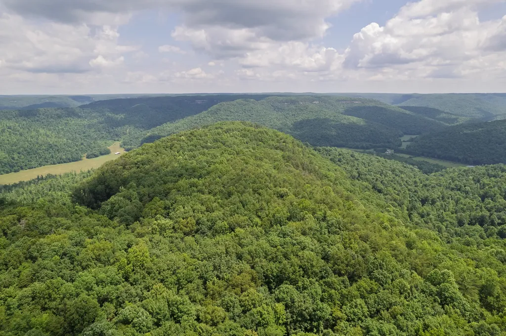 0 Flat Rock Road Jamestown TN 38556