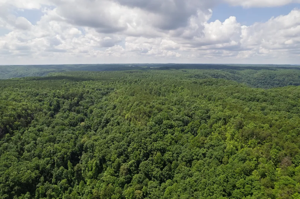 0 Flat Rock Road Jamestown TN 38556