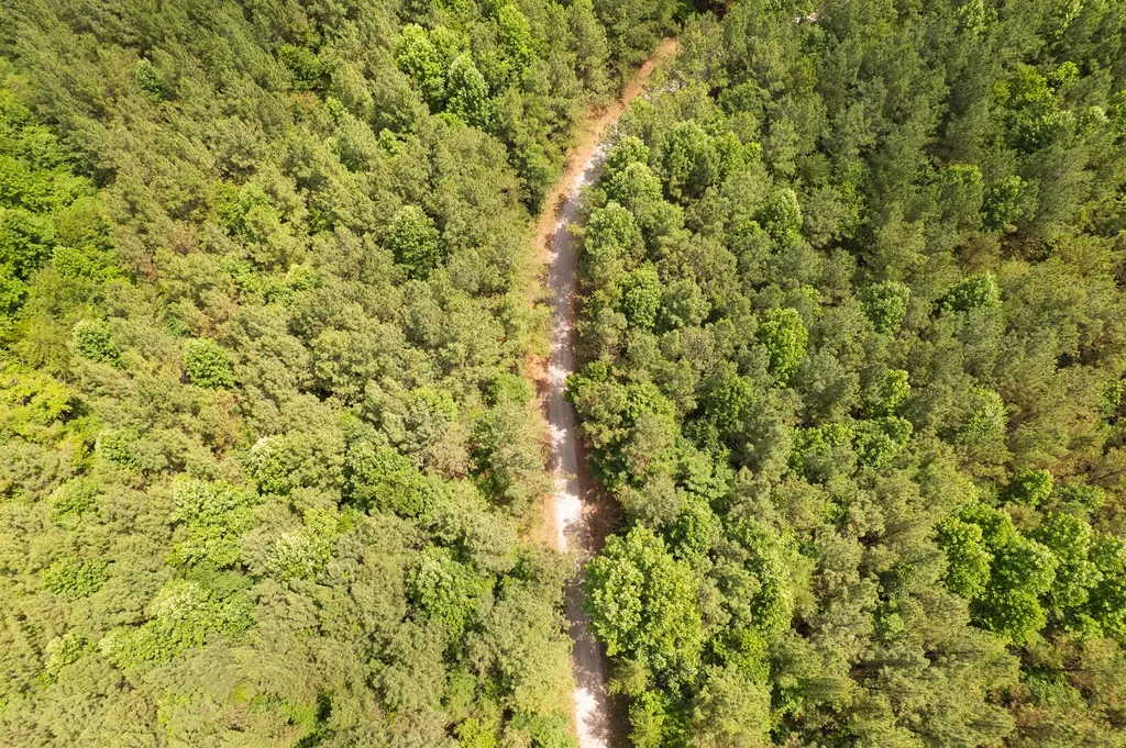 0 Flat Rock Road Jamestown TN 38556