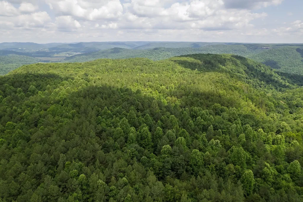 0 Flat Rock Road Jamestown TN 38556