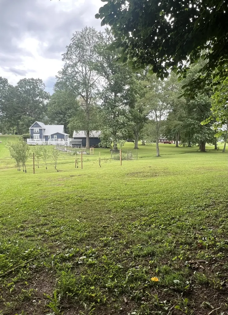 124 Amy Road Hillsboro TN 37342