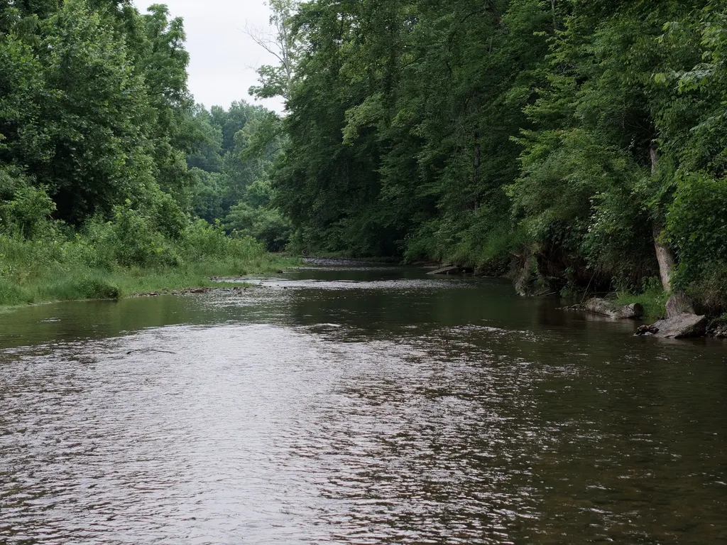 5490 Old Mill Creek Road Nunnelly TN 37137
