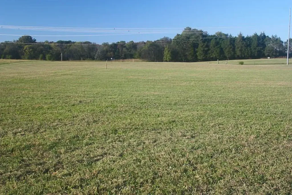 0 Highway 270 Chapel Hill TN 37034