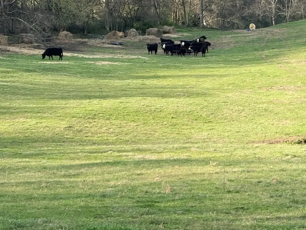 2200 Sugar Ridge Road Spring Hill TN 37174