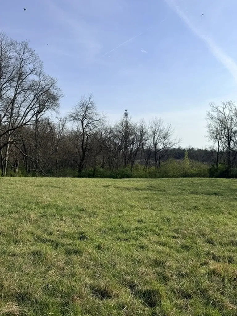 2200 Sugar Ridge Road Spring Hill TN 37174
