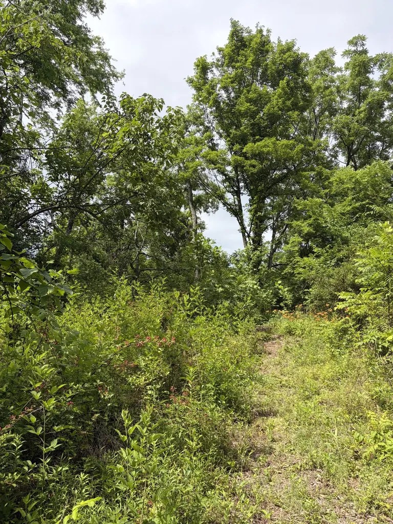 200 Robert Neal Durham Road Bethpage TN 37022