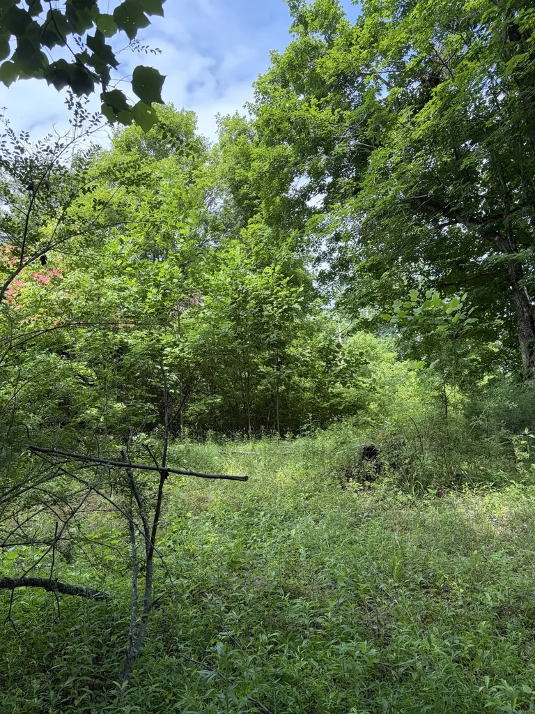 200 Robert Neal Durham Road Bethpage TN 37022