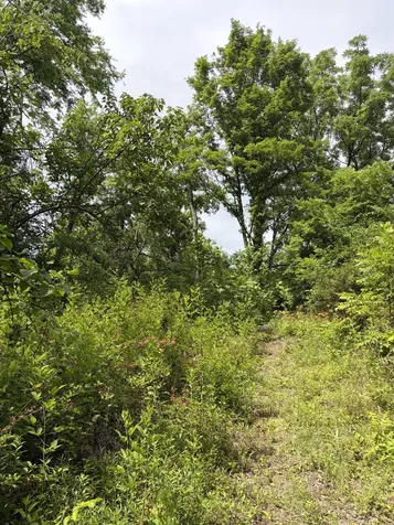 200 Robert Neal Durham Road Bethpage TN 37022