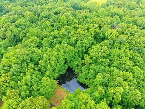 17627 Campbellsville Road Lynnville TN 38472
