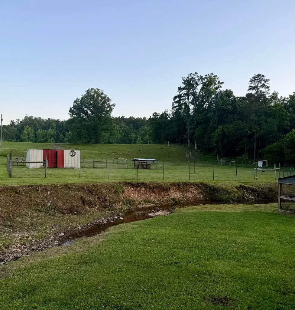 1881 Clifton Turnpike Waynesboro TN 38485