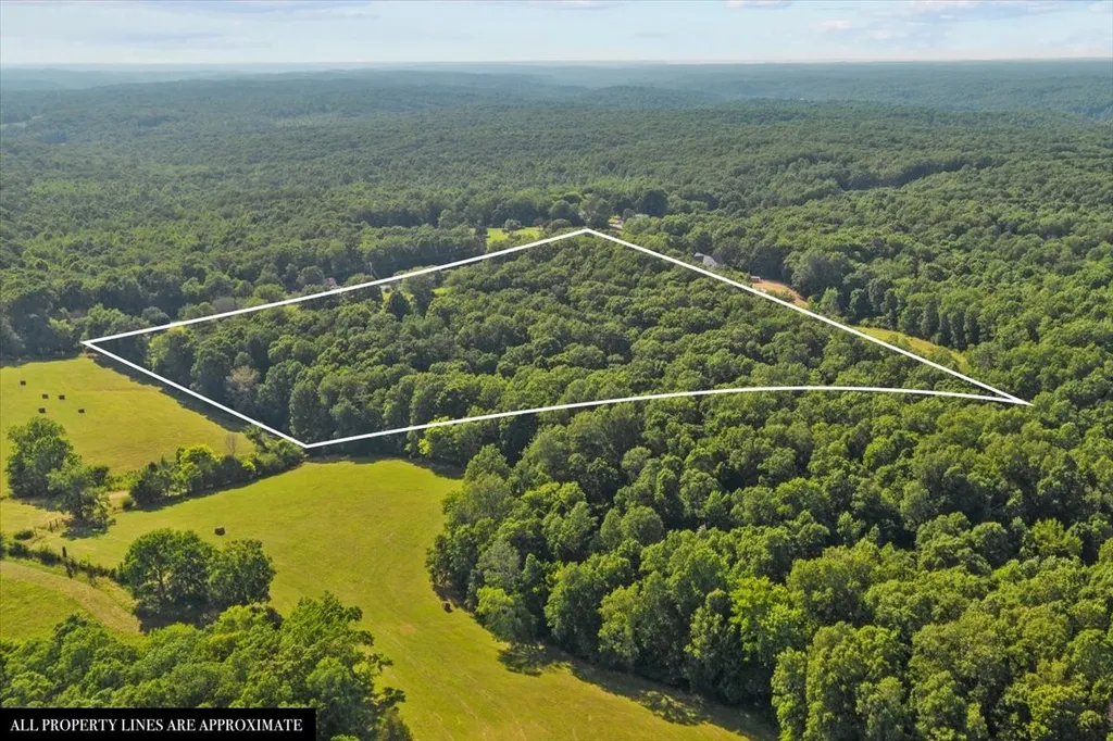 3438 Highway 13 N Waverly TN 37185