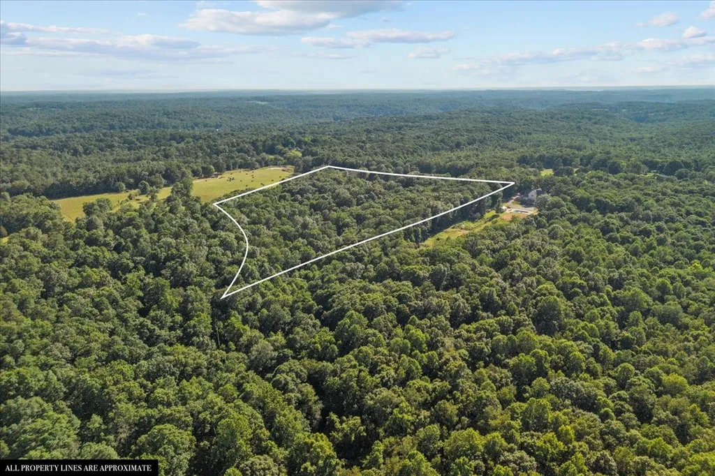 3438 Highway 13 N Waverly TN 37185