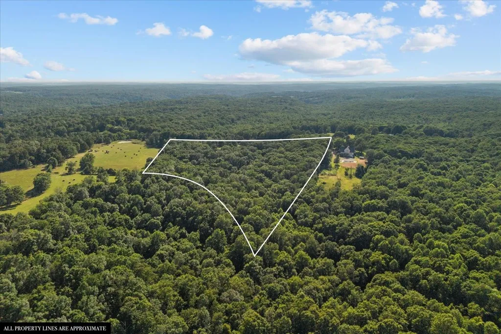 3438 Highway 13 N Waverly TN 37185