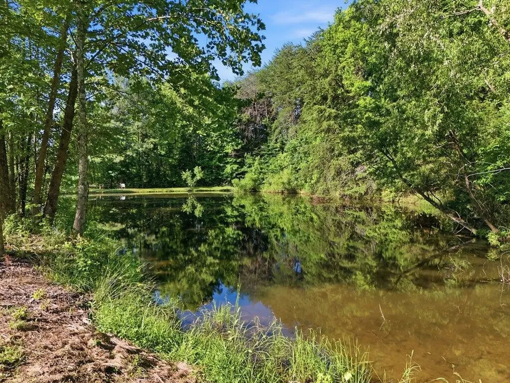 350 Piney Point Road Spring City TN 37381