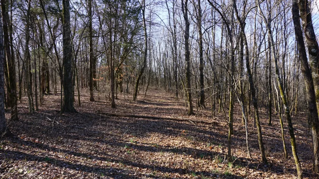 0 Hickory Ridge Trail Columbia TN 38401