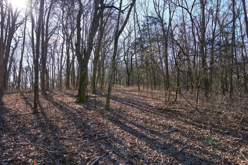 0 Hickory Ridge Trail Columbia TN 38401