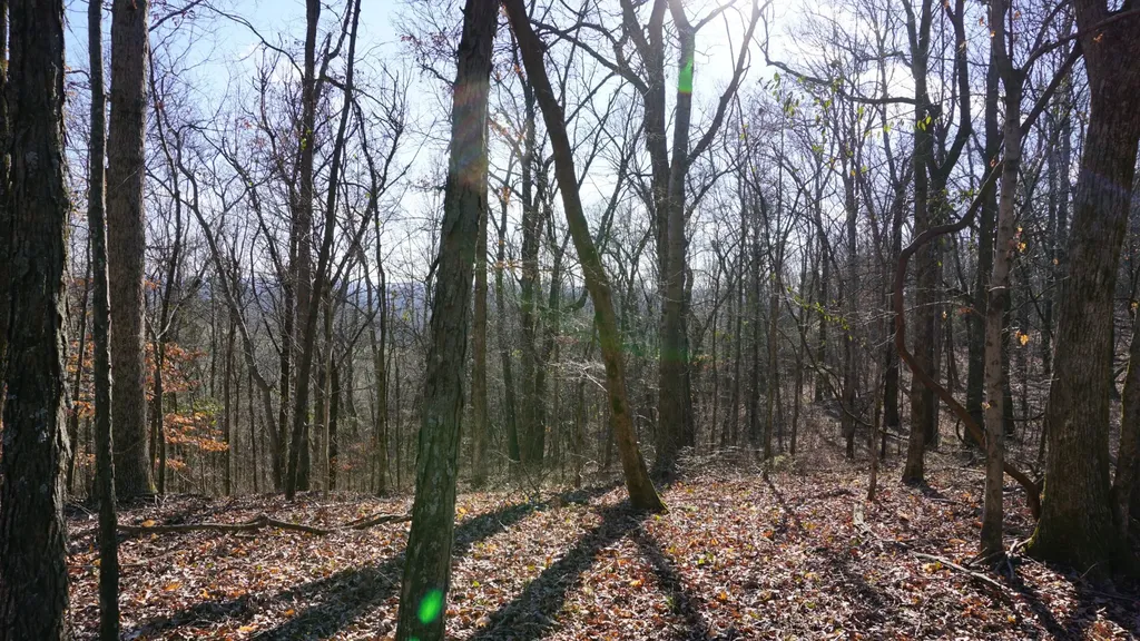 0 Hickory Ridge Trail Columbia TN 38401