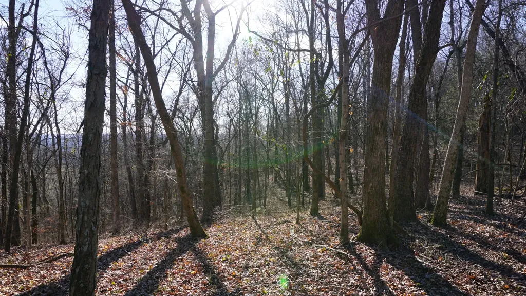 0 Hickory Ridge Trail Columbia TN 38401