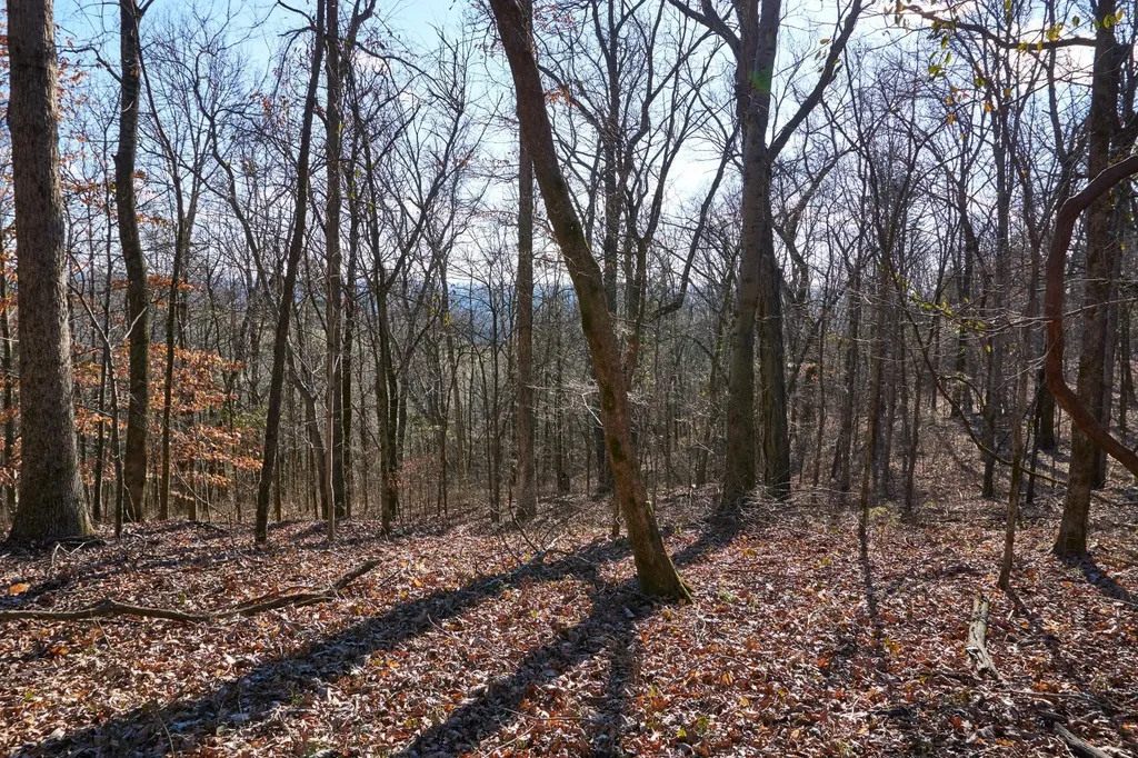 0 Hickory Ridge Trail Columbia TN 38401