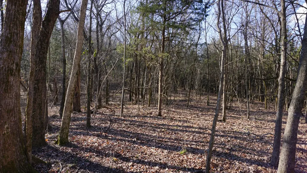 0 Hickory Ridge Trail Columbia TN 38401