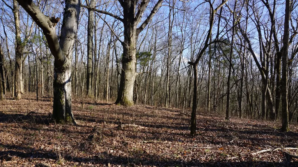 0 Hickory Ridge Trail Columbia TN 38401