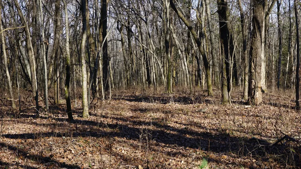 0 Hickory Ridge Trail Columbia TN 38401