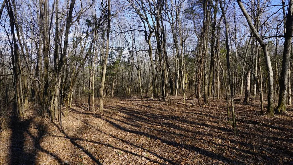 0 Hickory Ridge Trail Columbia TN 38401