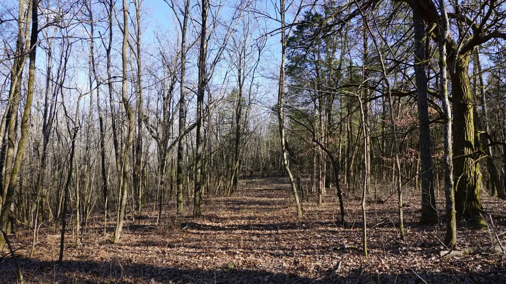 0 Hickory Ridge Trail Columbia TN 38401