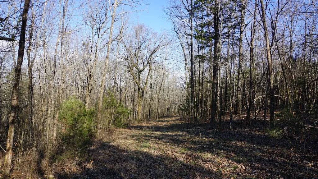 0 Hickory Ridge Trail Columbia TN 38401
