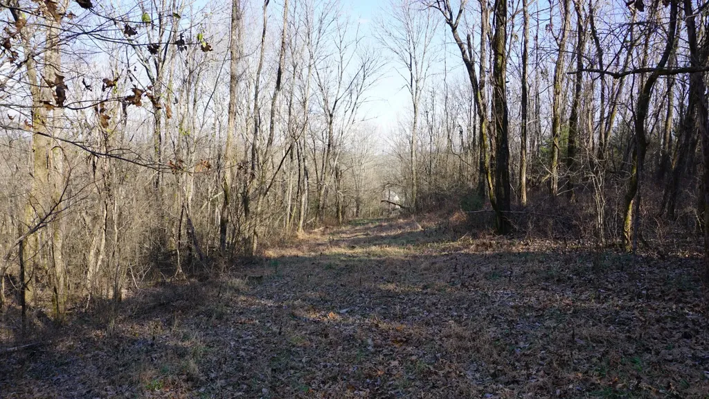 0 Hickory Ridge Trail Columbia TN 38401