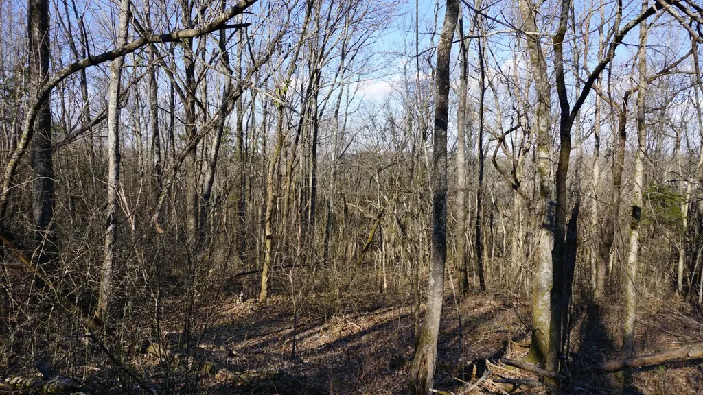 0 Hickory Ridge Trail Columbia TN 38401