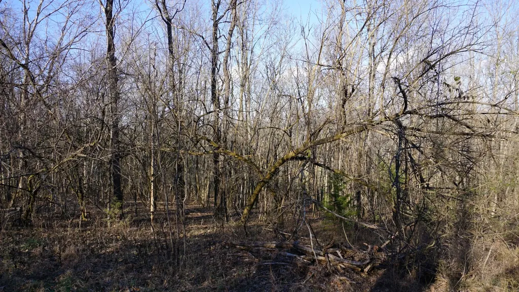 0 Hickory Ridge Trail Columbia TN 38401