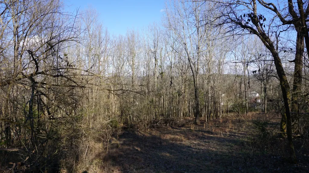 0 Hickory Ridge Trail Columbia TN 38401