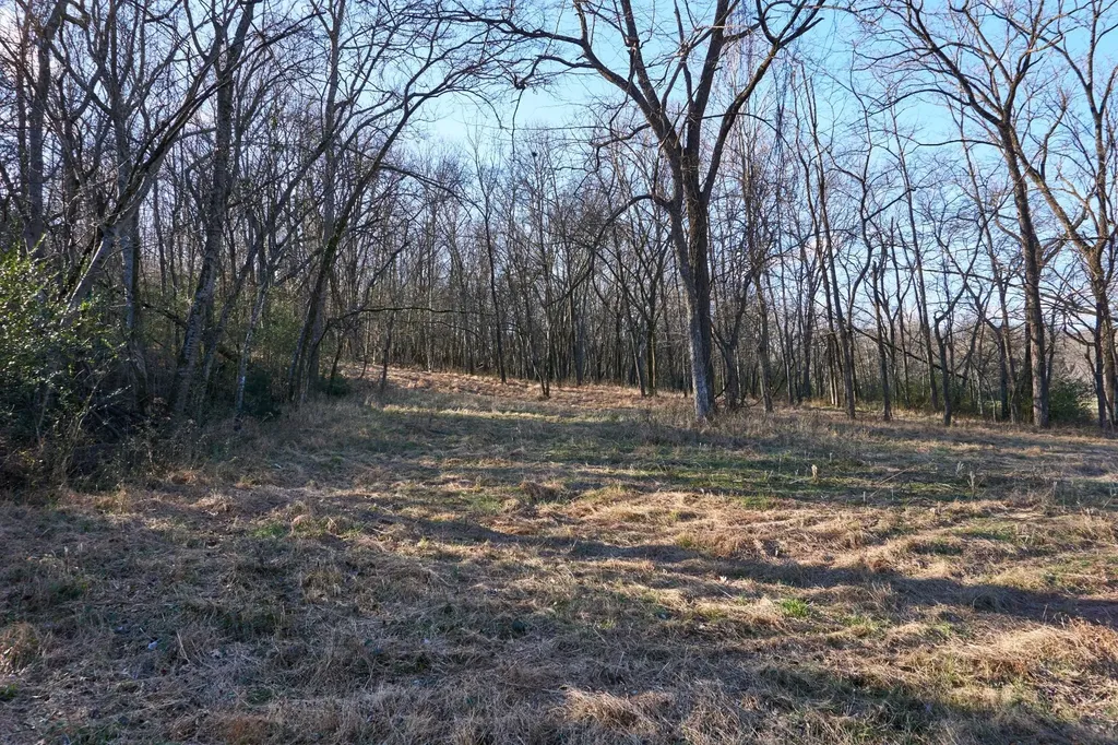 0 Hickory Ridge Trail Columbia TN 38401