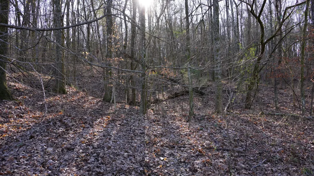 0 Hickory Ridge Trail Columbia TN 38401
