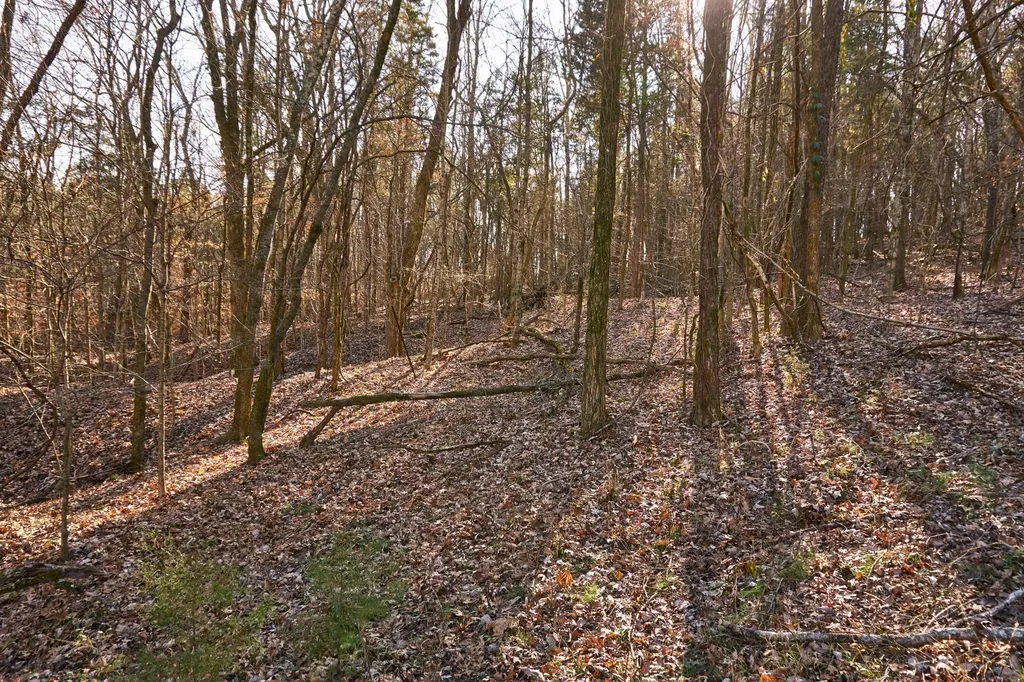 0 Hickory Ridge Trail Columbia TN 38401