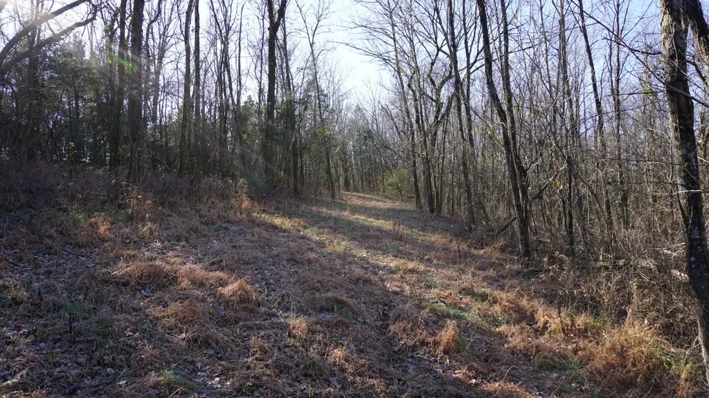 0 Hickory Ridge Trail Columbia TN 38401