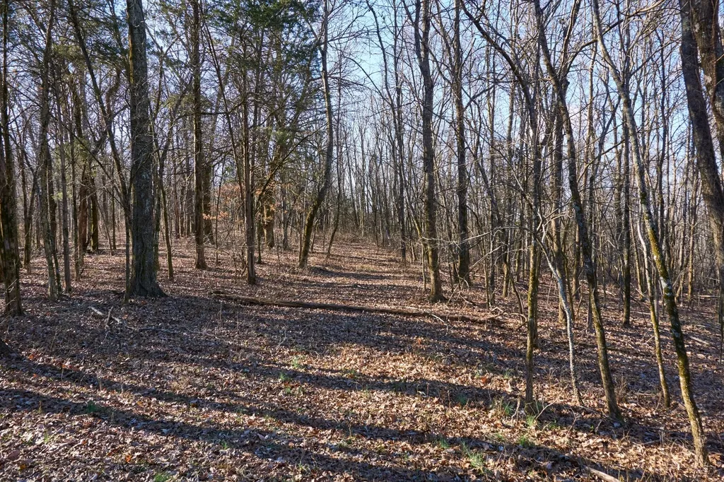 0 Hickory Ridge Trail Columbia TN 38401