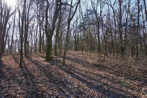 0 Hickory Ridge Trail Columbia TN 38401